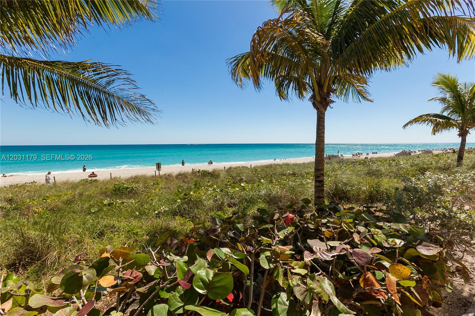 image Beach Club 231