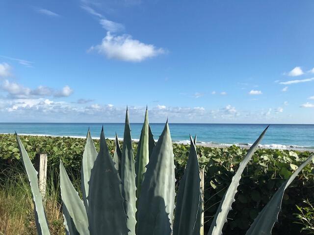 1420 Ocean #29a Jupiter, FL 33477