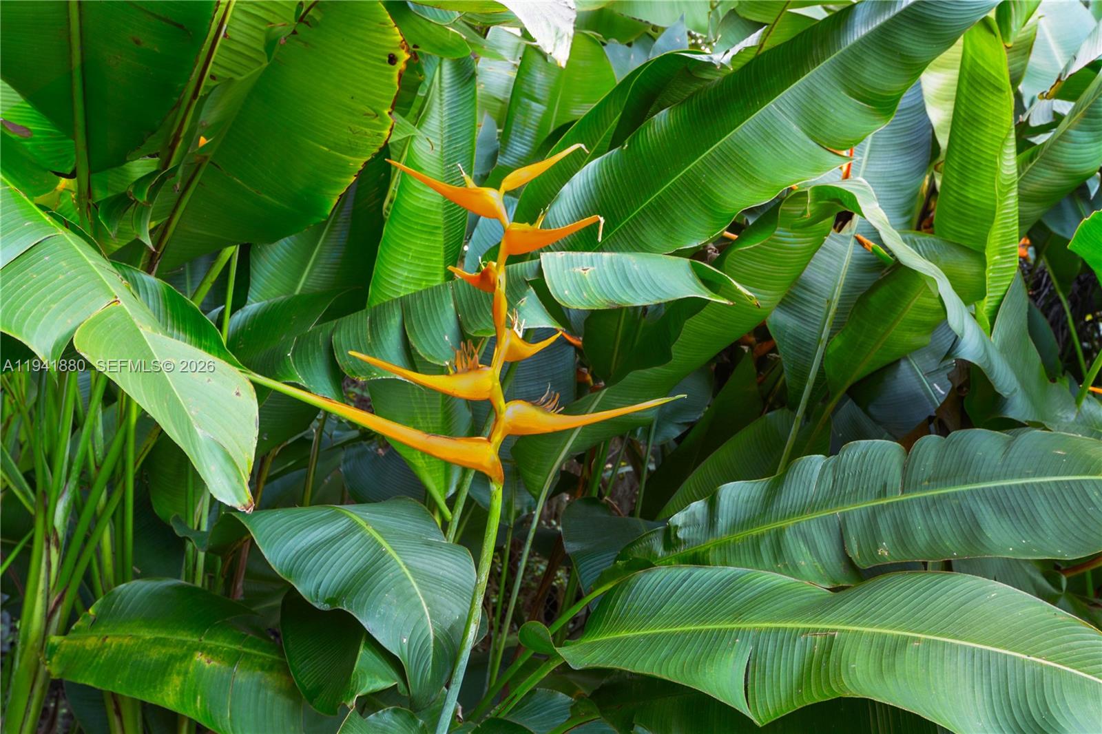 1901 Country Clb Prado Coral Gables, FL 33134