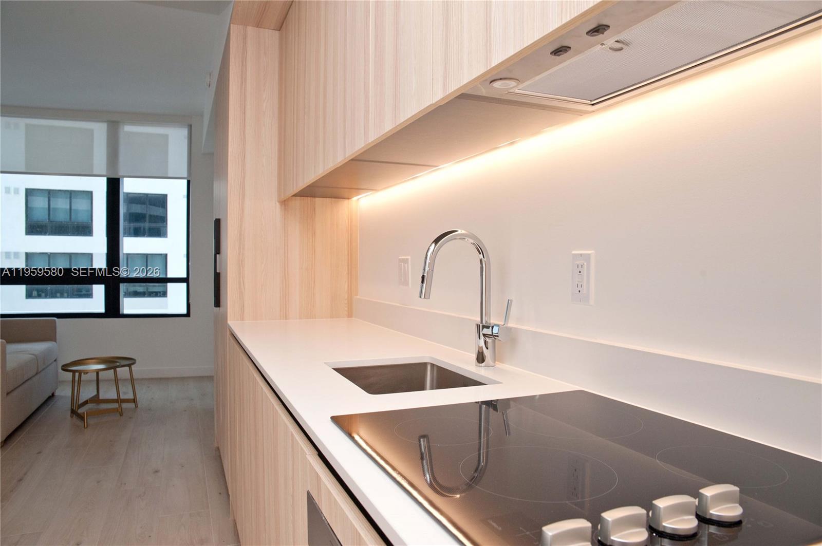 225 N Miami Ave #2306 Miami, FL 33128