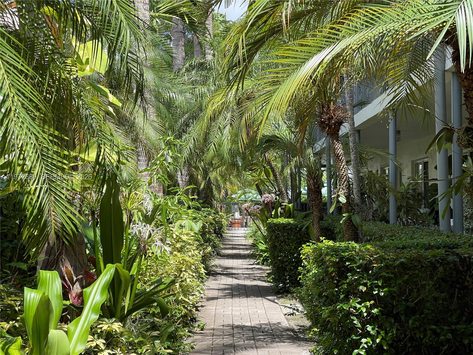 4780 Pine Tree Dr #8 Miami Beach, FL 33140