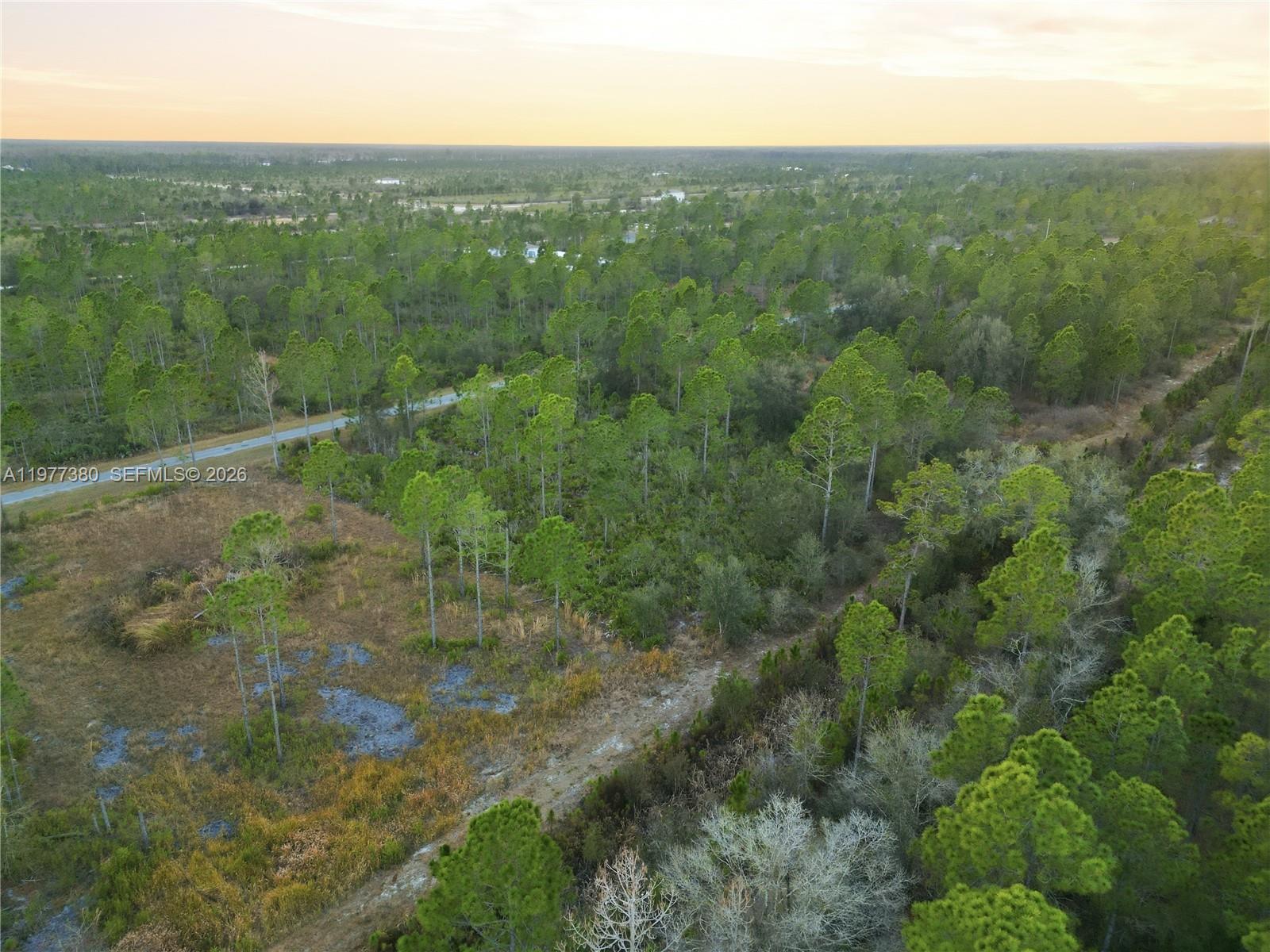 Tropicana Dr Other, FL 33855