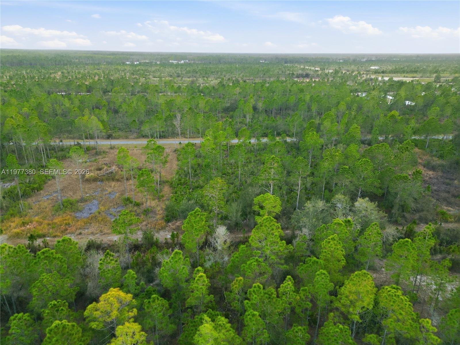 Tropicana Dr Other, FL 33855