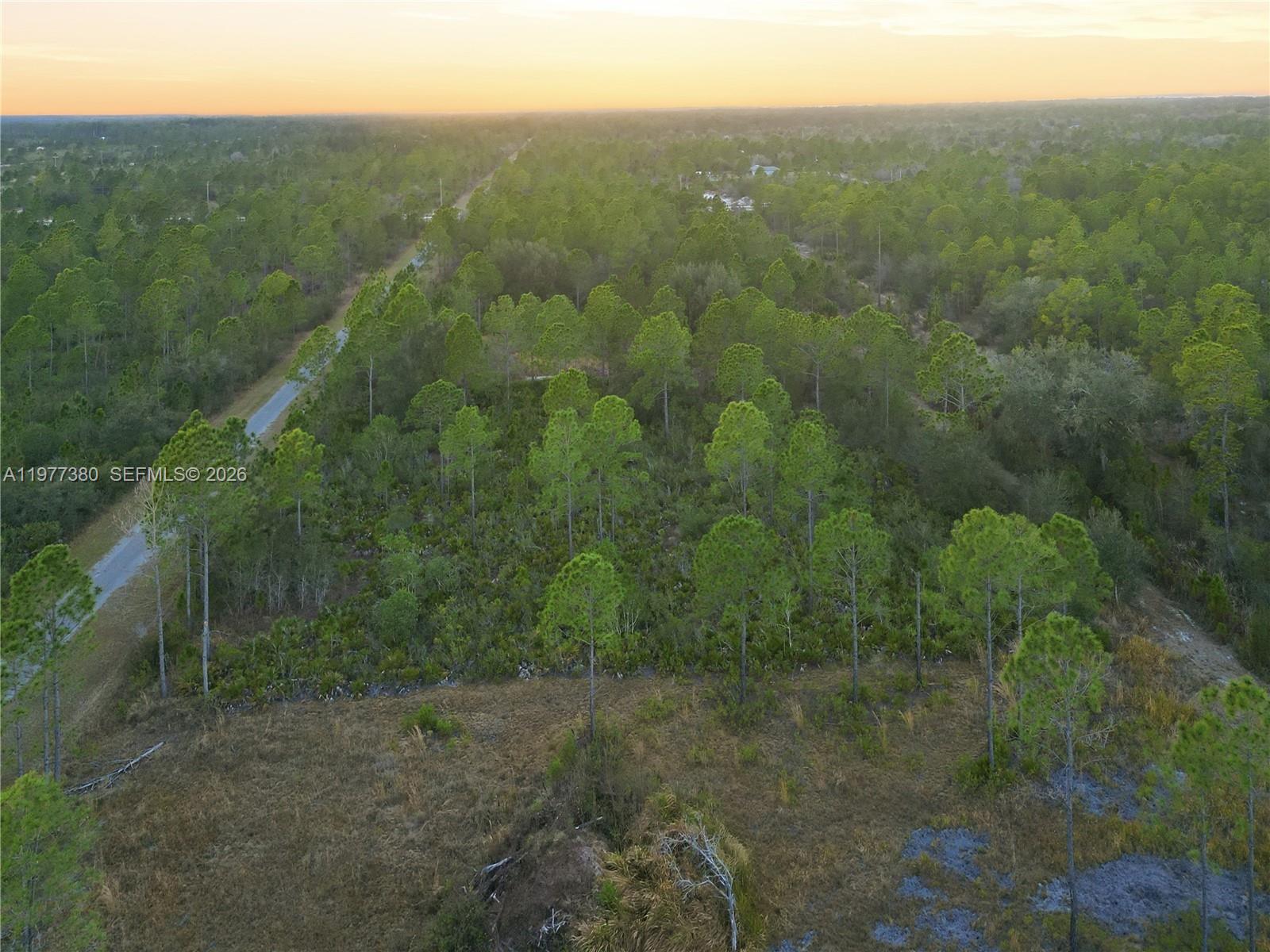 Tropicana Dr Other, FL 33855