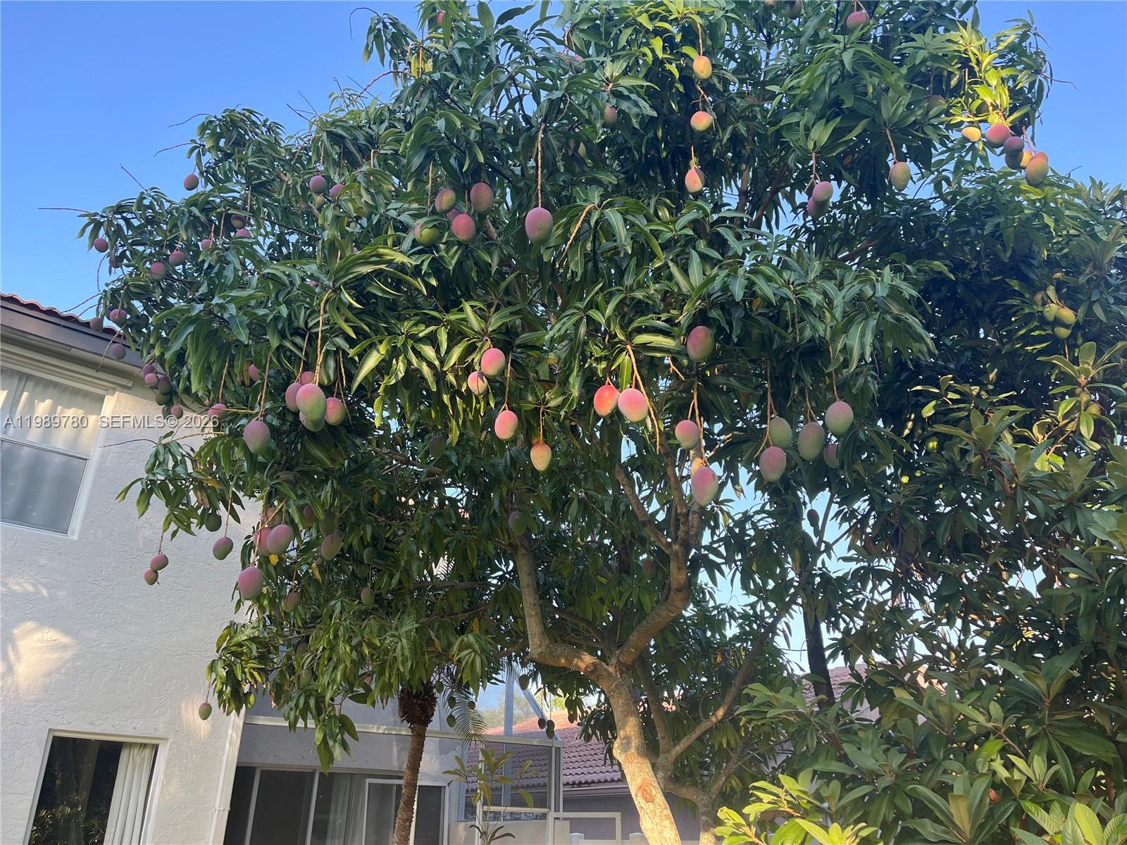 17731 SW 23rd St Miramar, FL 33029