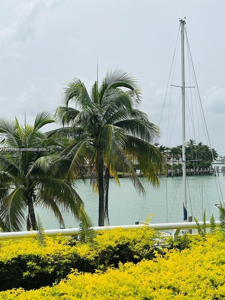 6580 Indian Crk Dr #207 Miami Beach, FL 33141
