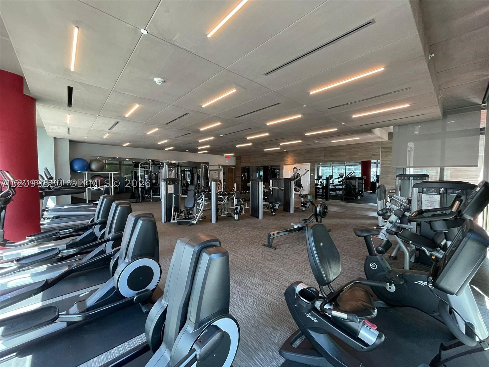 image The Bond on Brickell18