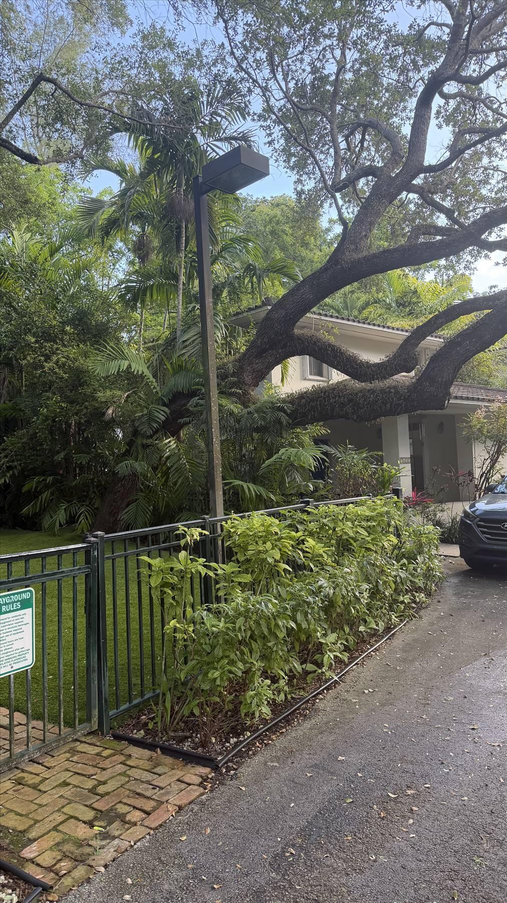 3611 SW 37th #19 Coconut Grove, FL 33133