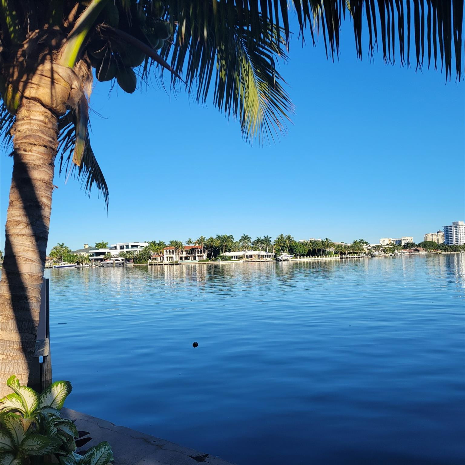 2617 Aqua Vis Fort Lauderdale, FL 33301