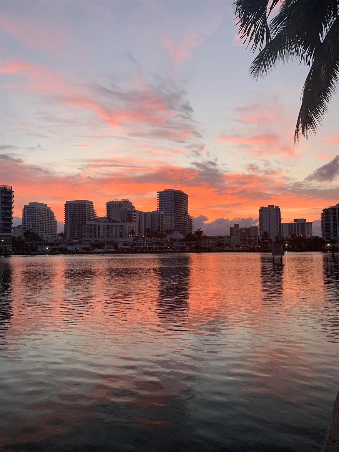 2617 Aqua Vis Fort Lauderdale, FL 33301