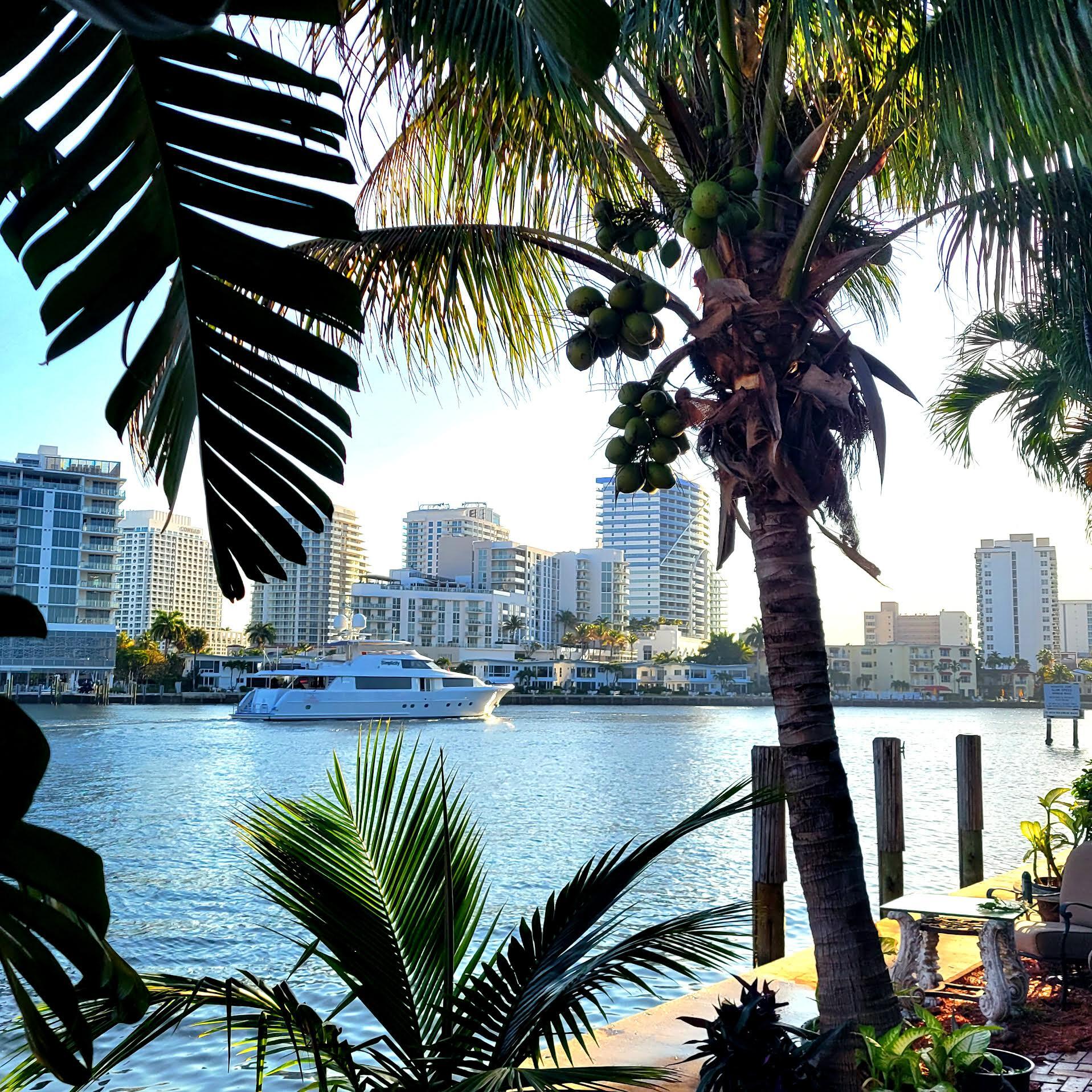 2617 Aqua Vis Fort Lauderdale, FL 33301