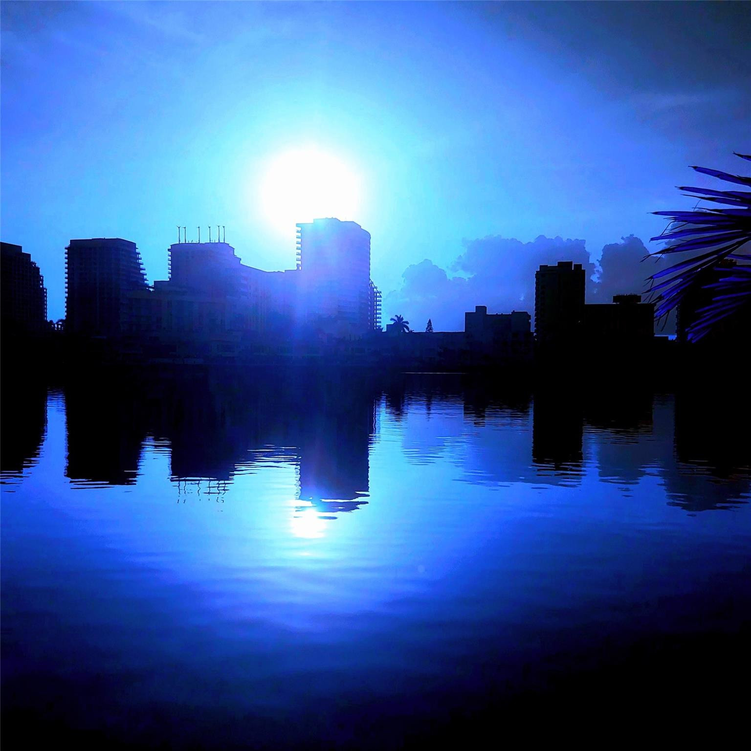 2617 Aqua Vis Fort Lauderdale, FL 33301