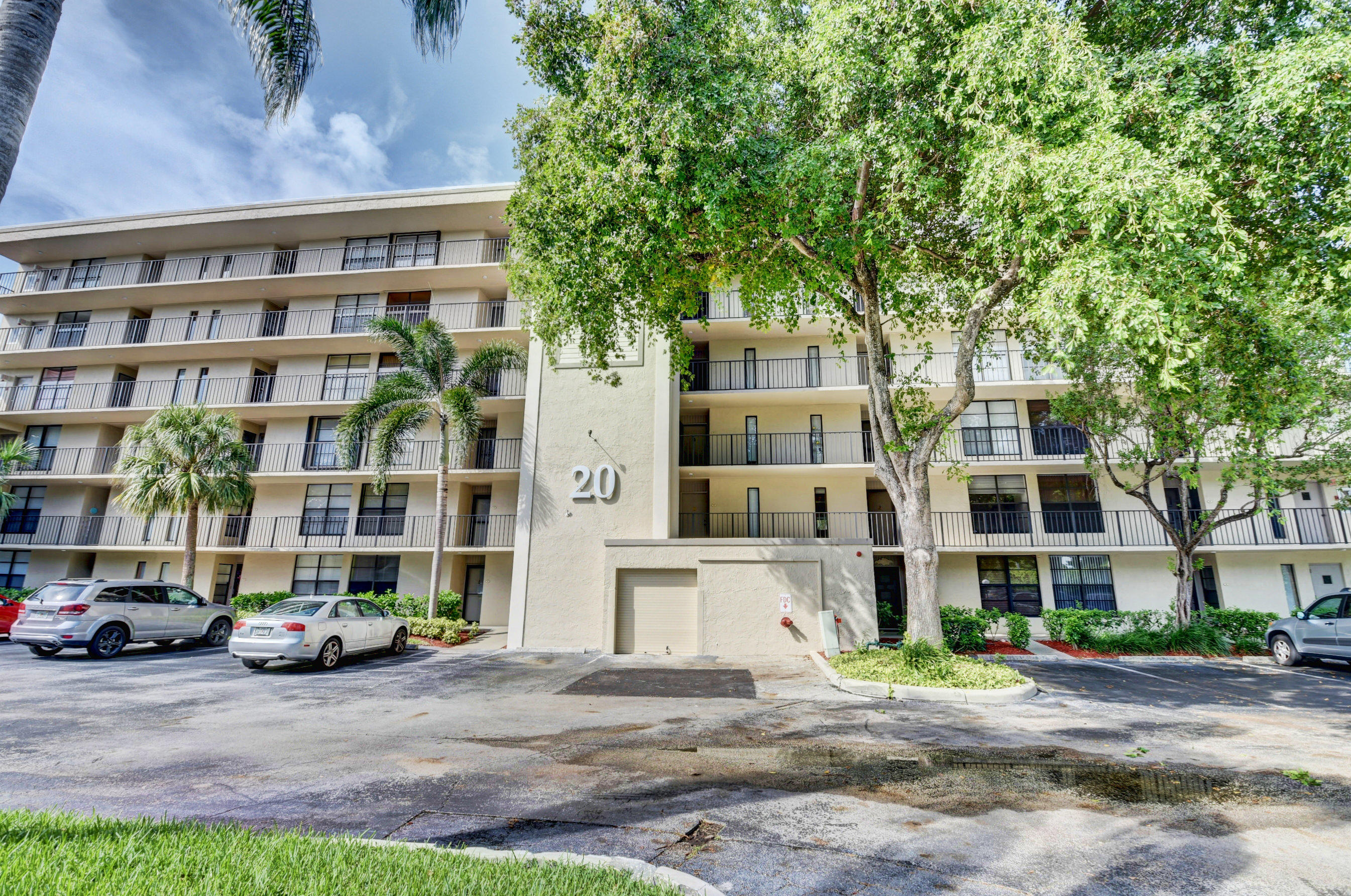 20 Royal Palm #602