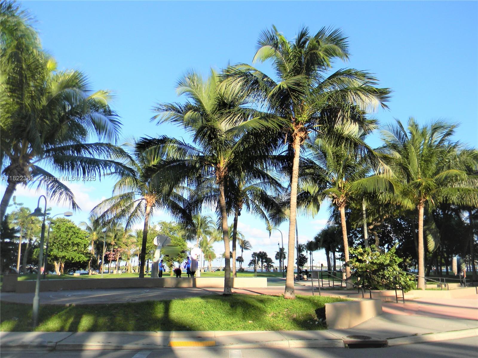 image 37