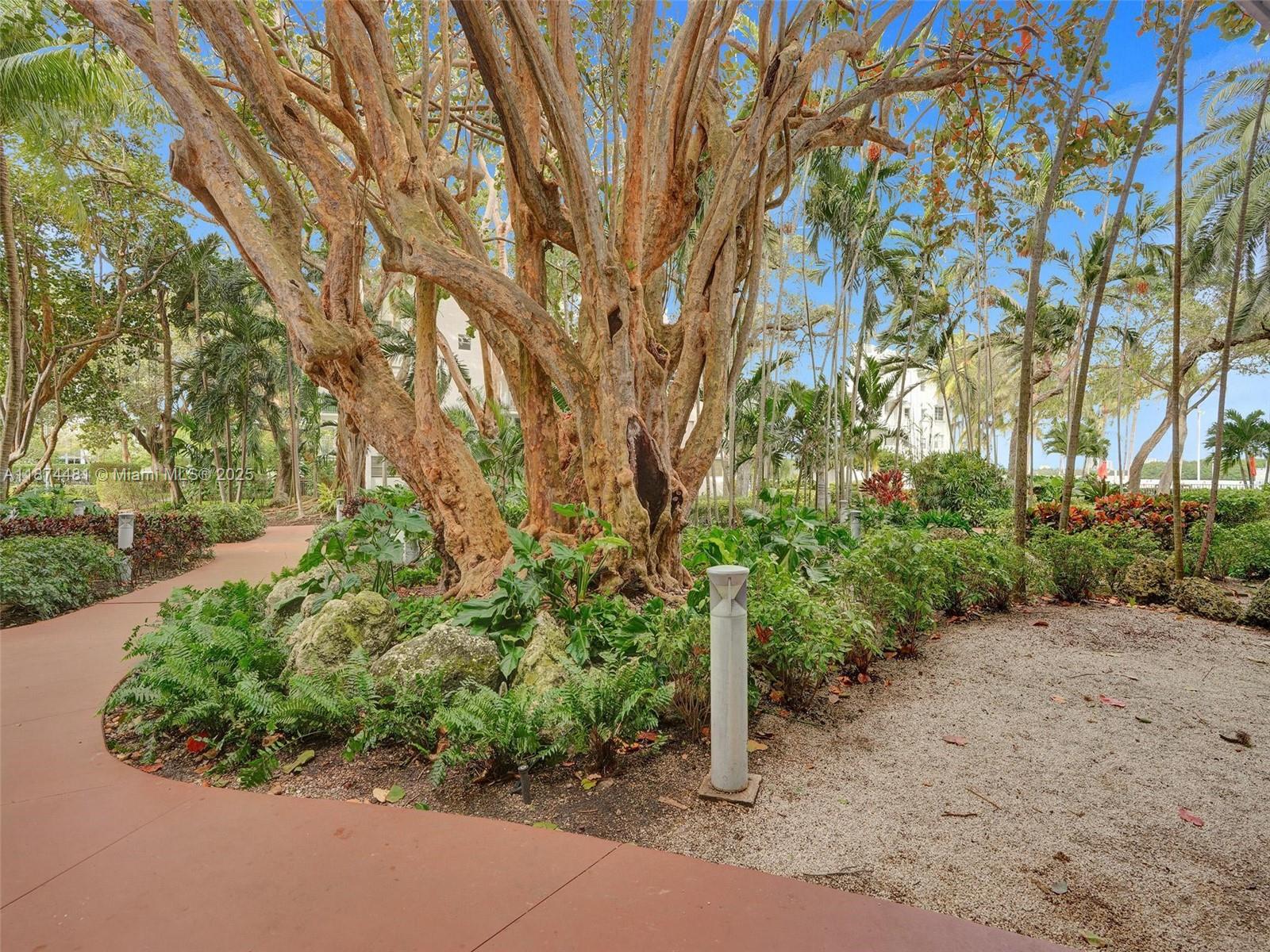 750 NE 64th St #B401 Miami, FL 33138