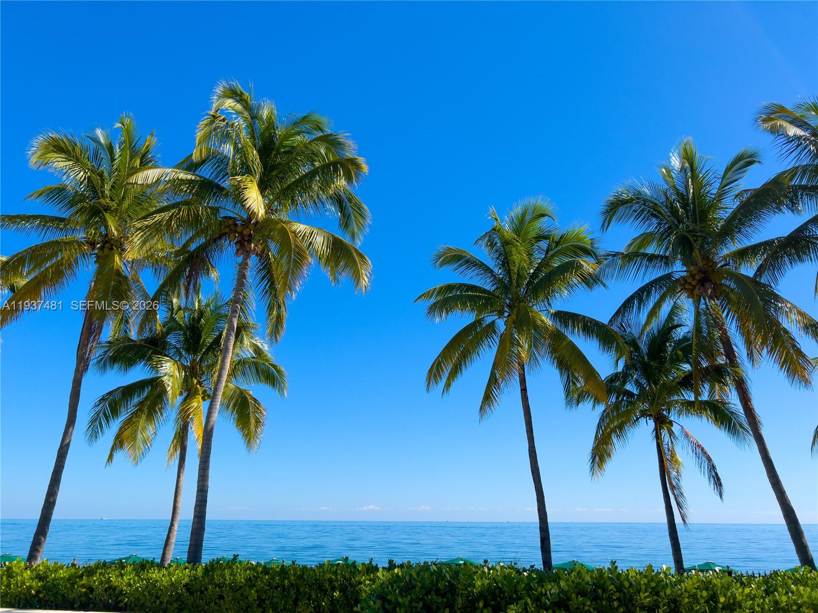 image Ocean Club Iii3