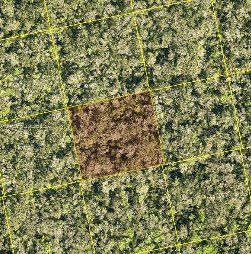 Unknown Other, FL 32759