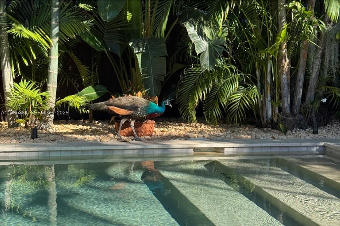 1737 SW 10th St Miami, FL 33135