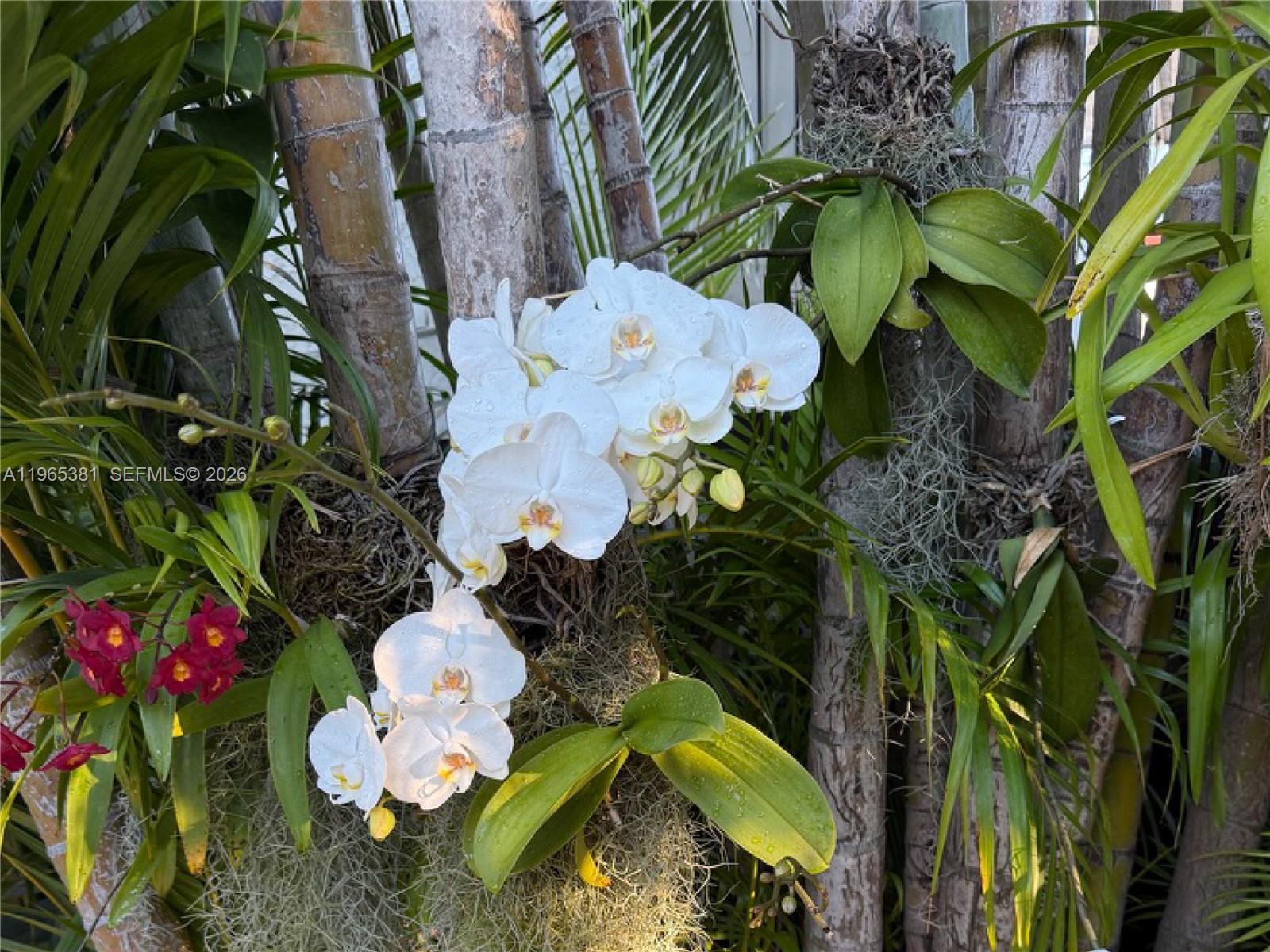 1737 SW 10th St Miami, FL 33135