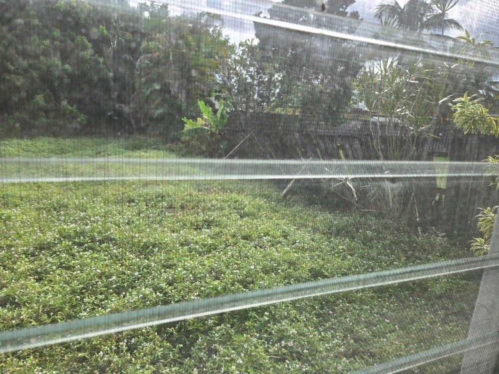 2702 Hayes St Hollywood, FL 33020