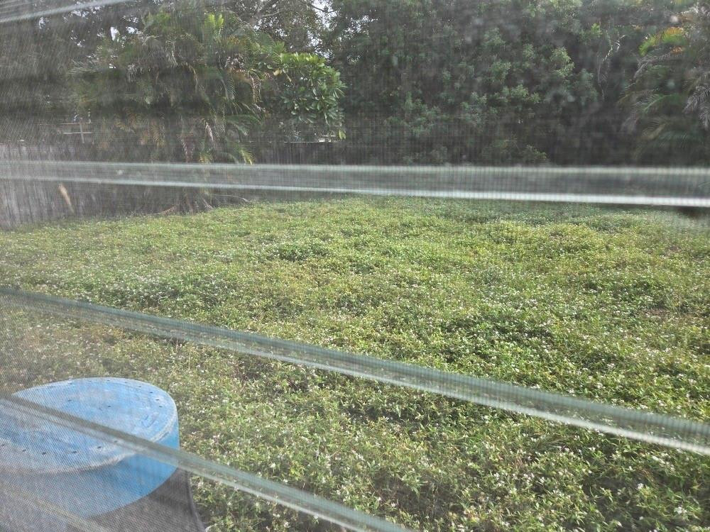 2702 Hayes St Hollywood, FL 33020