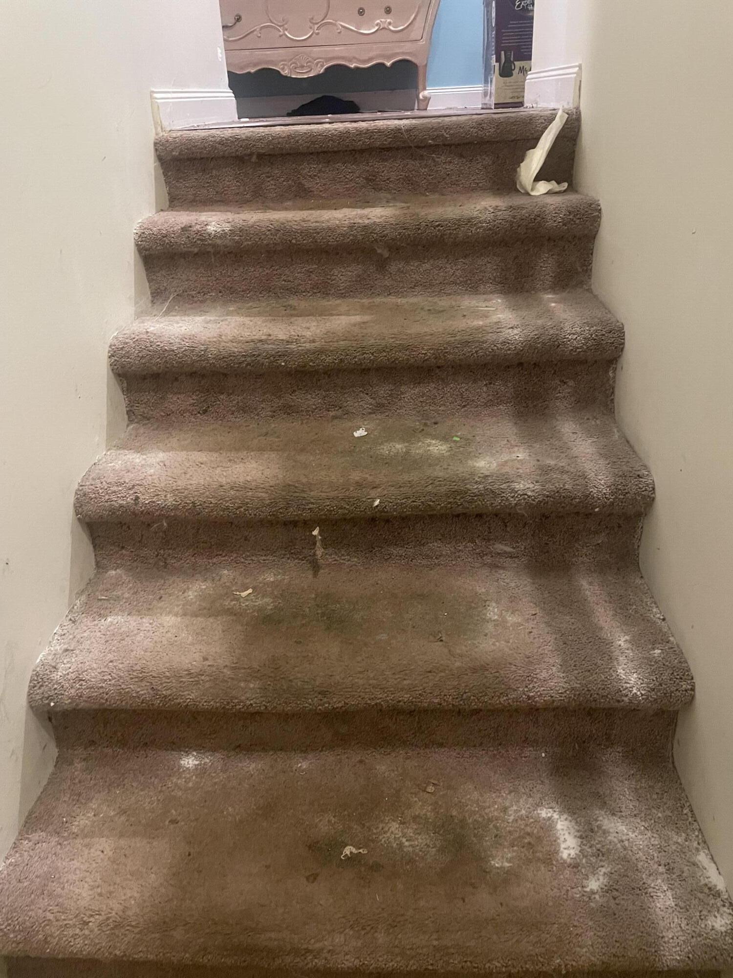 289 Barbados Jupiter, FL 33458