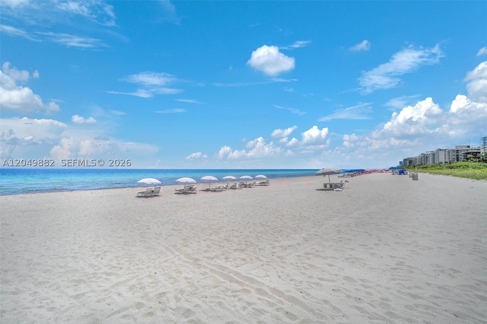 image Spiaggia3