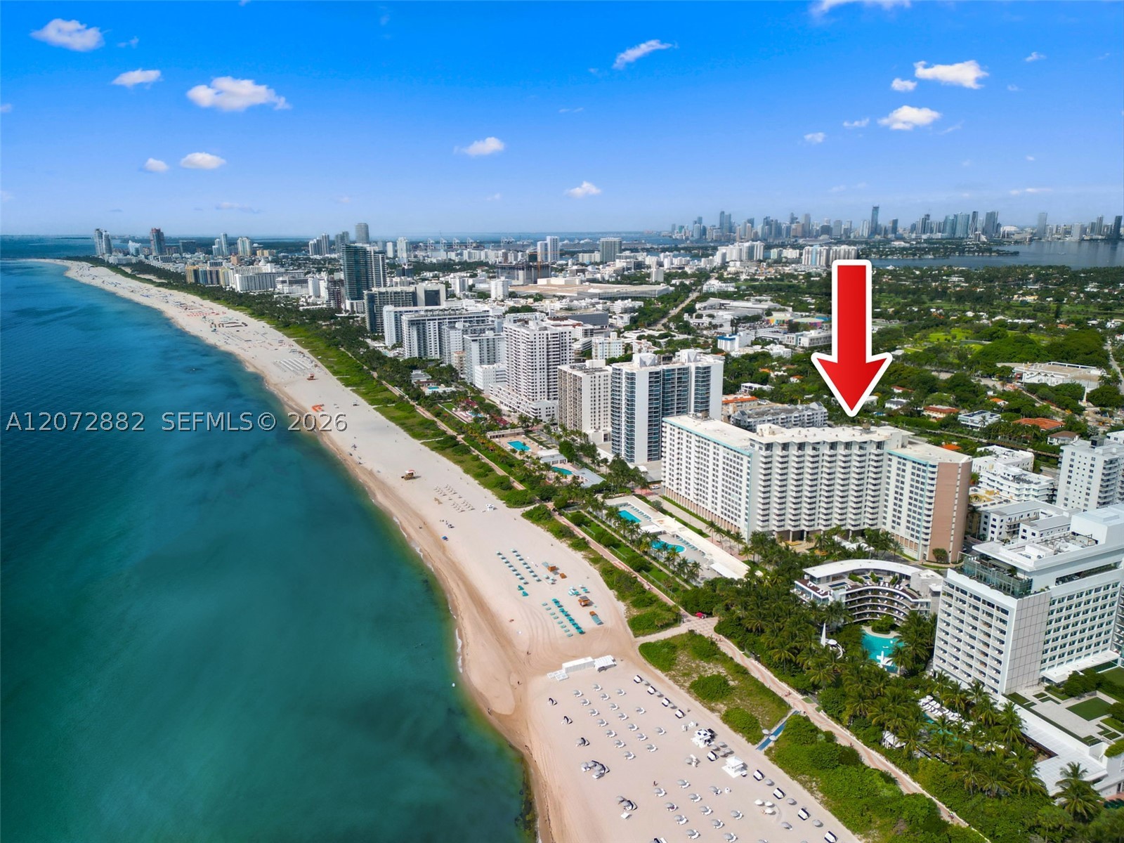 2899 Collins Ave #1624 Miami Beach, FL 33140