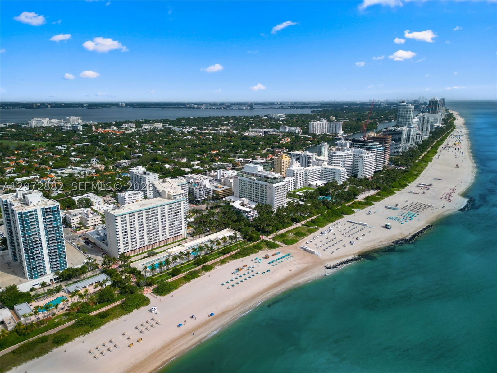 2899 Collins Ave #1624 Miami Beach, FL 33140