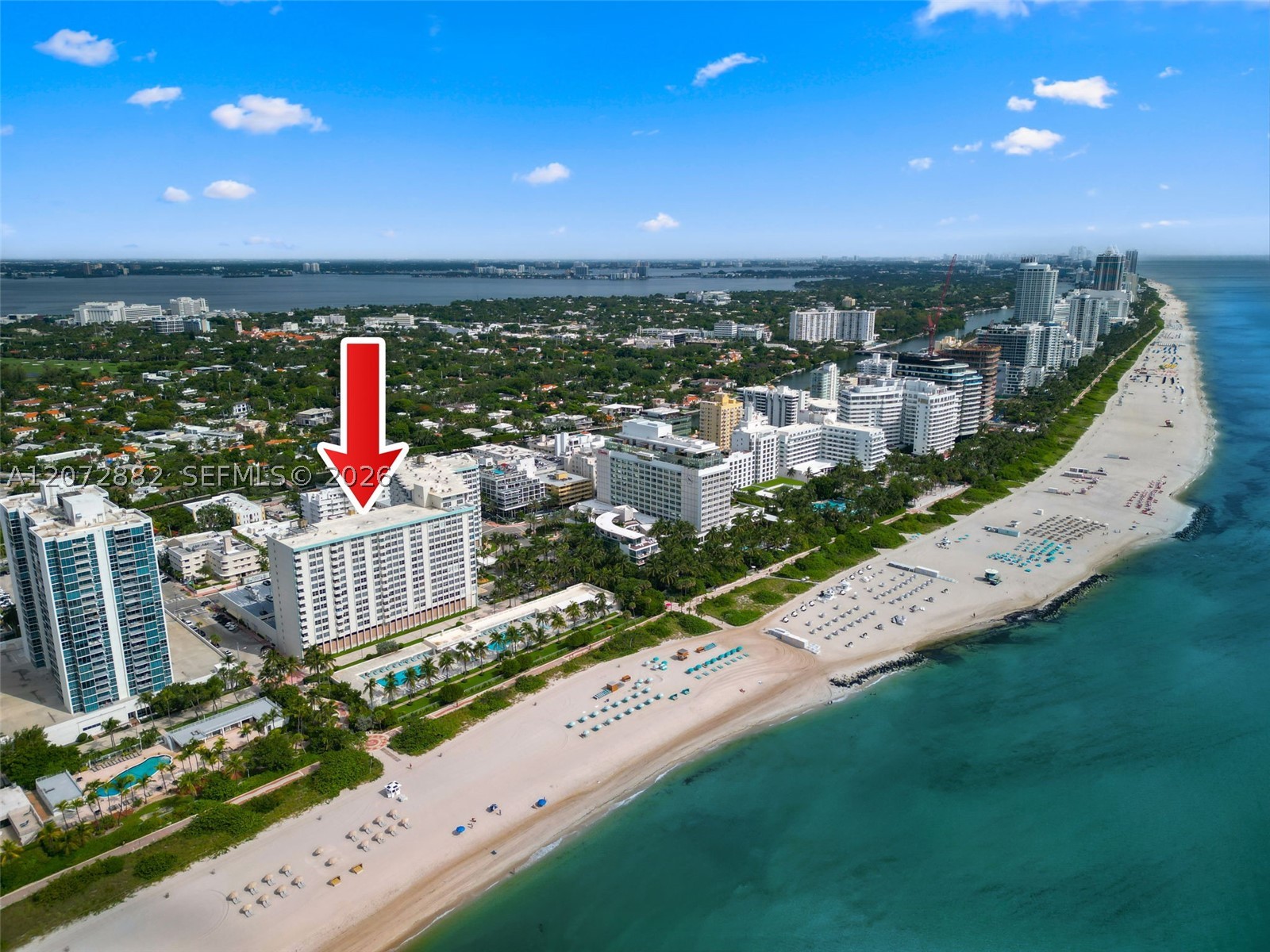 2899 Collins Ave #1624 Miami Beach, FL 33140