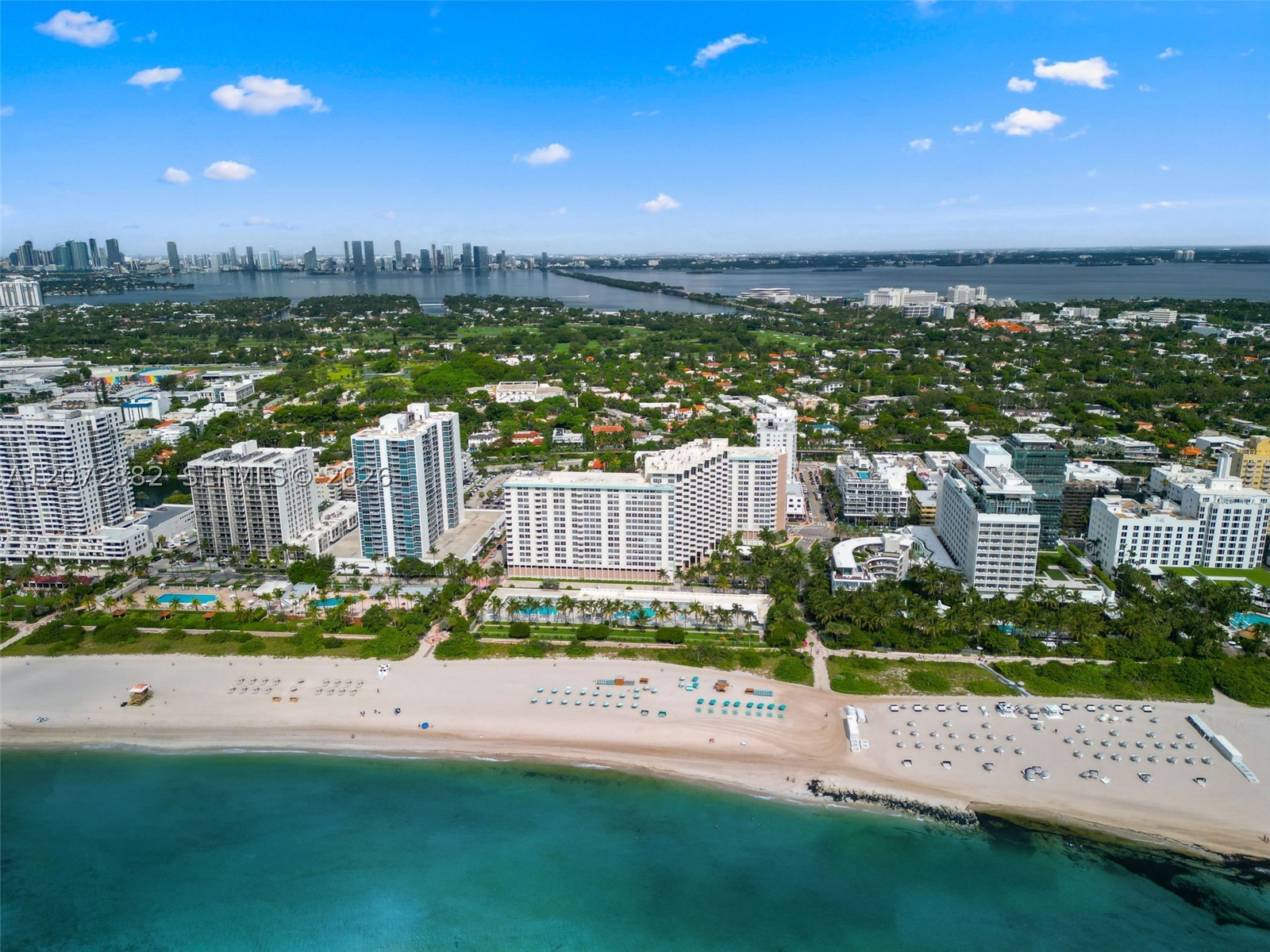 2899 Collins Ave #1624 Miami Beach, FL 33140