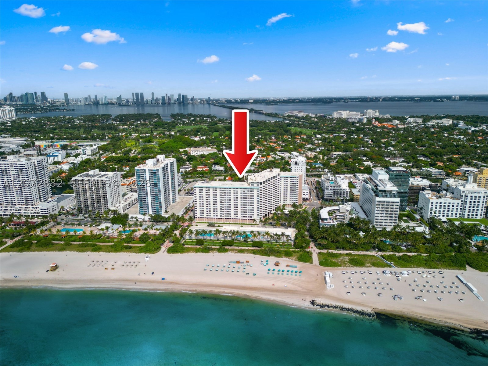 2899 Collins Ave #1624 Miami Beach, FL 33140