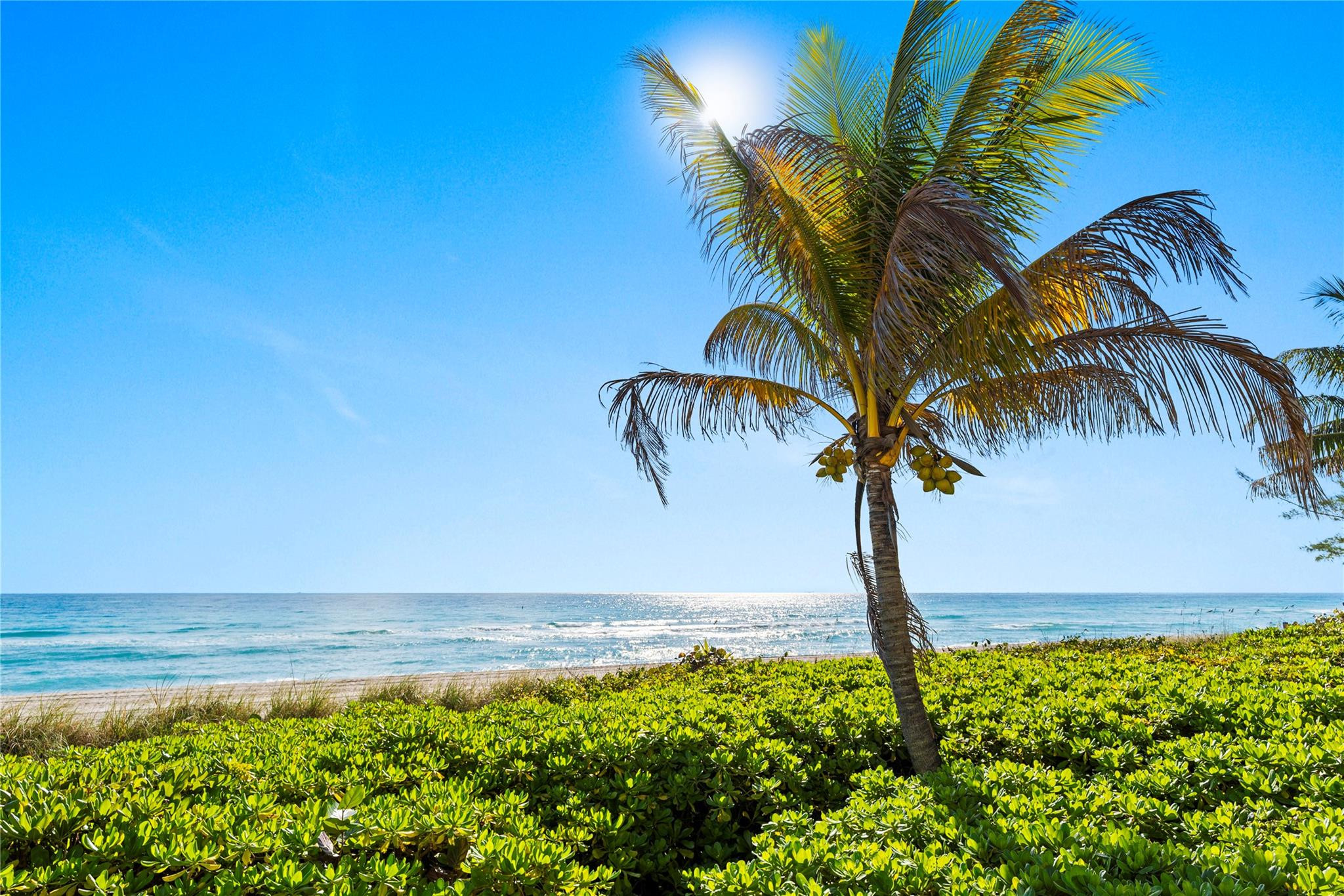 image Malaga Towers4