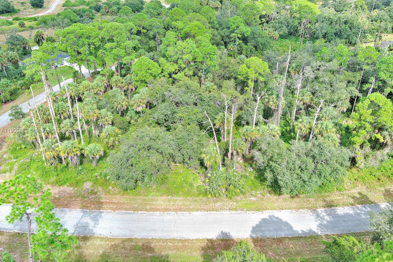 232 Sparkle Dr La Belle, FL 33935