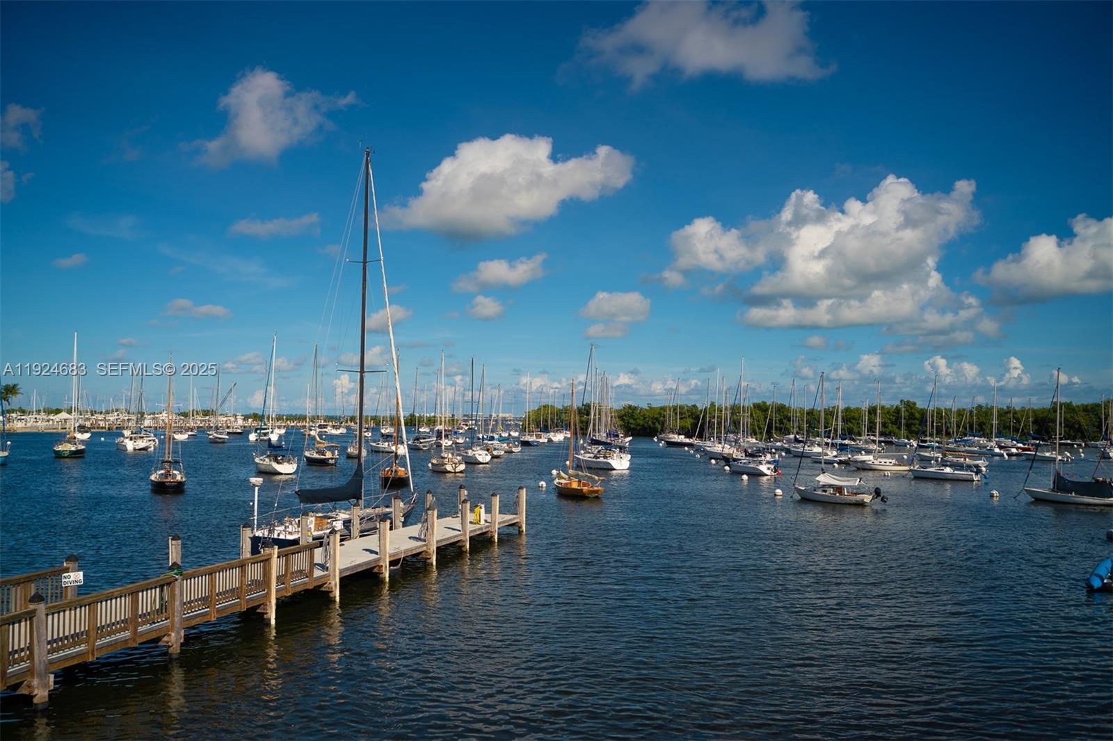 3603 Thomas Ave Miami, FL 33133