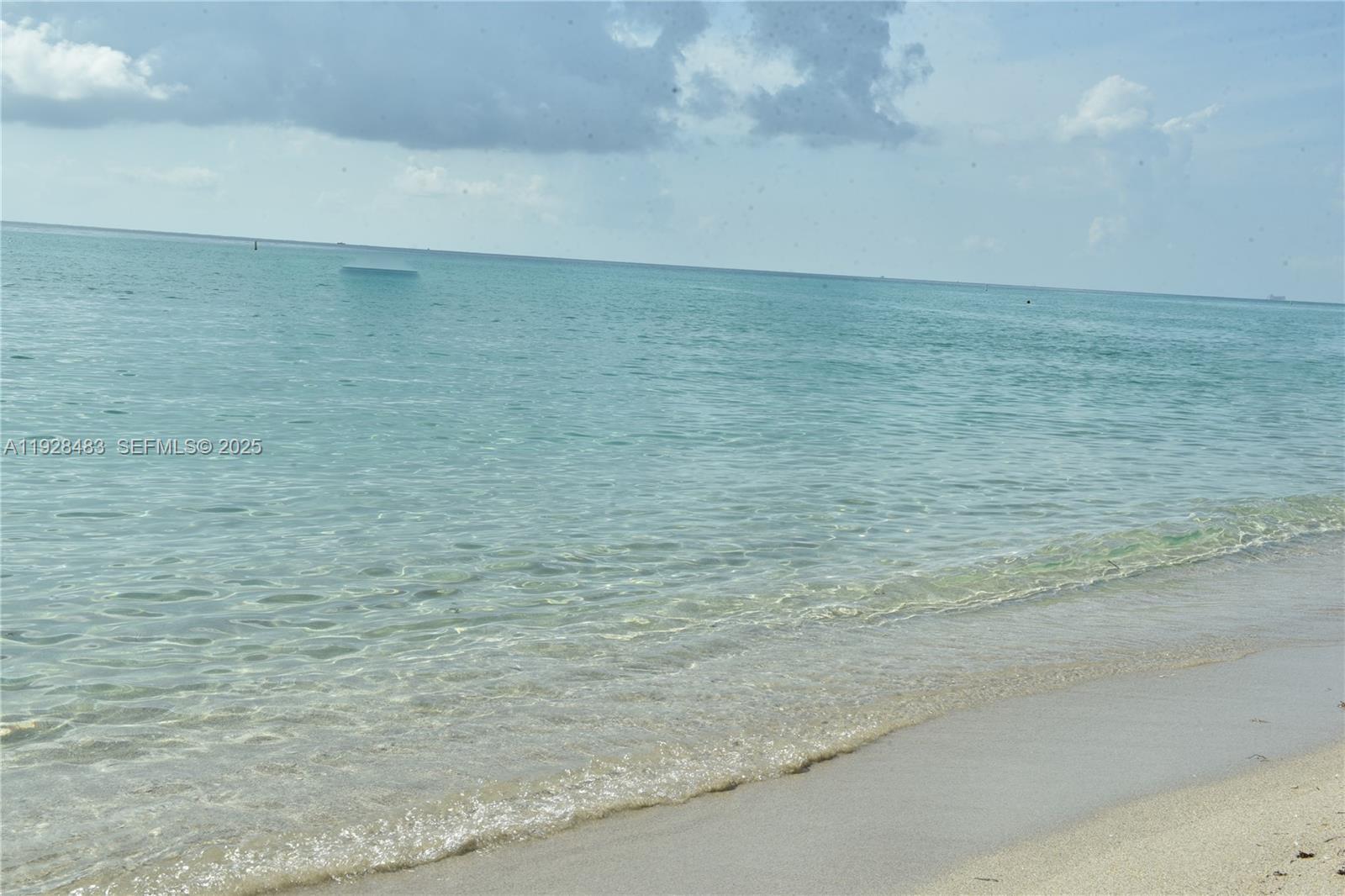 image Trump Tower I21