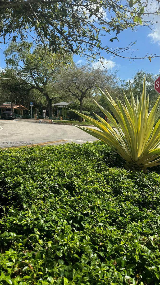 1205 Mariposa Ave #326 Coral Gables, FL 33146