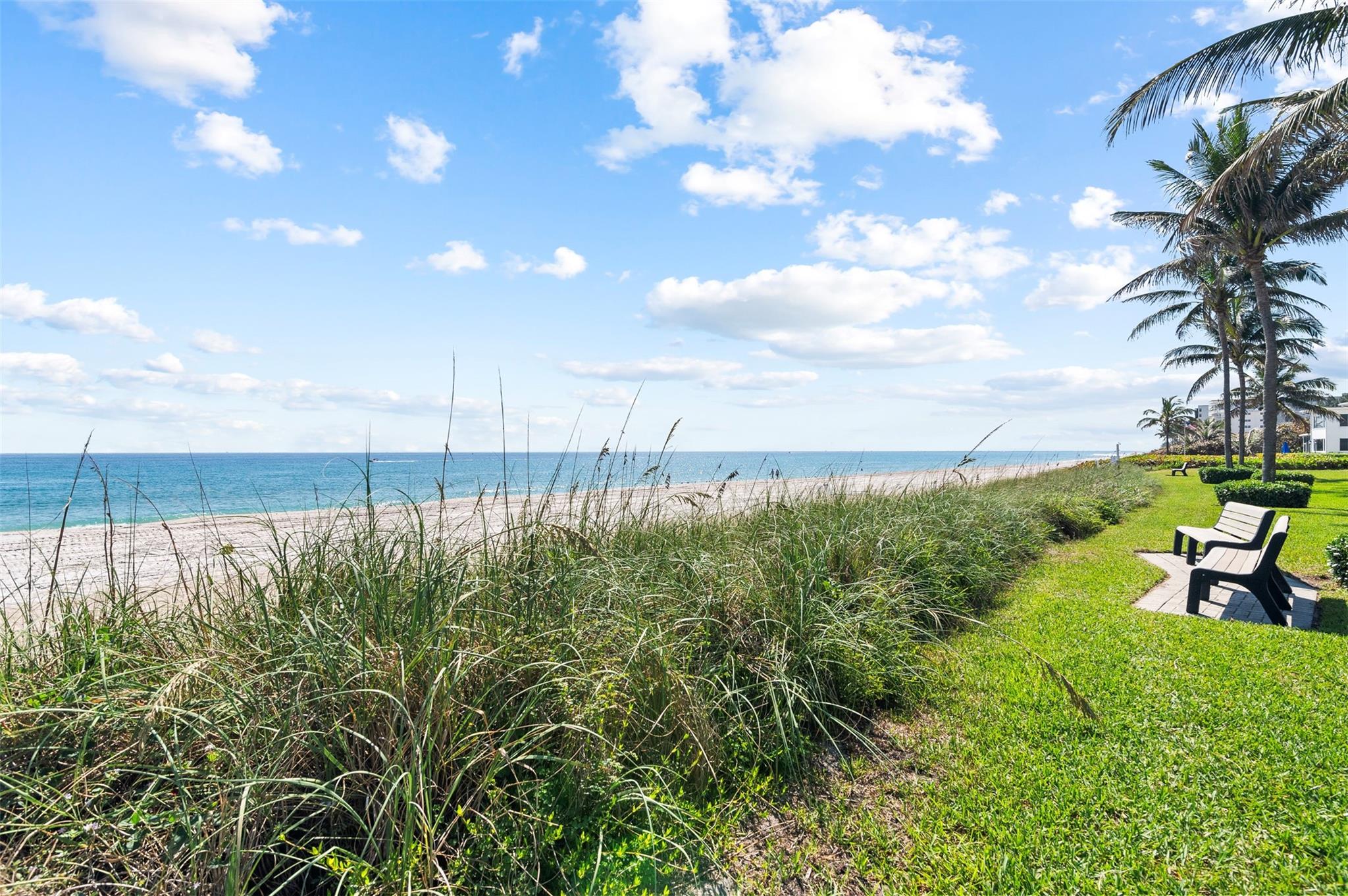 1194 Hillsboro Mile #12 Hillsboro Beach, FL 33062