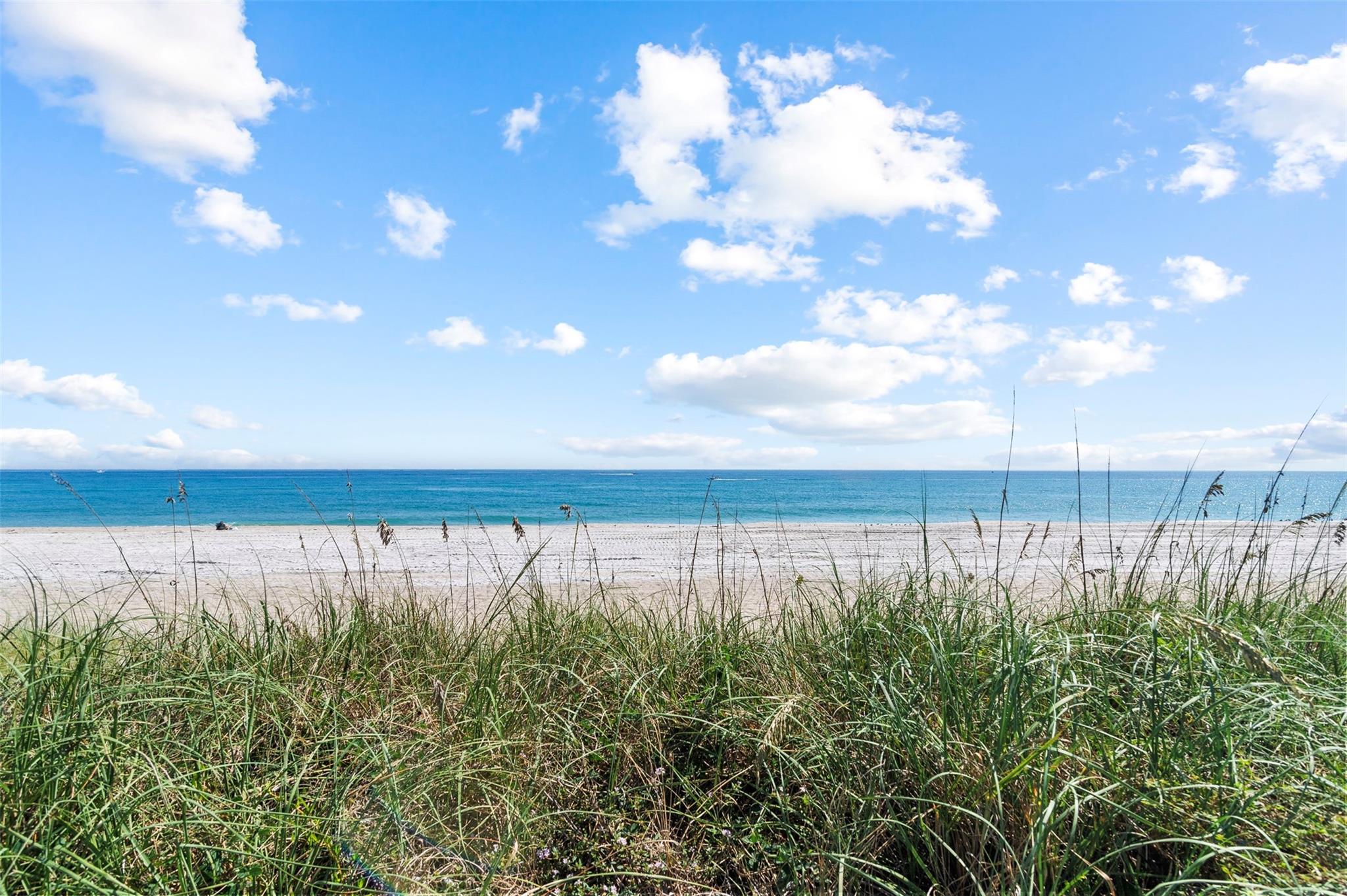 1194 Hillsboro Mile #12 Hillsboro Beach, FL 33062