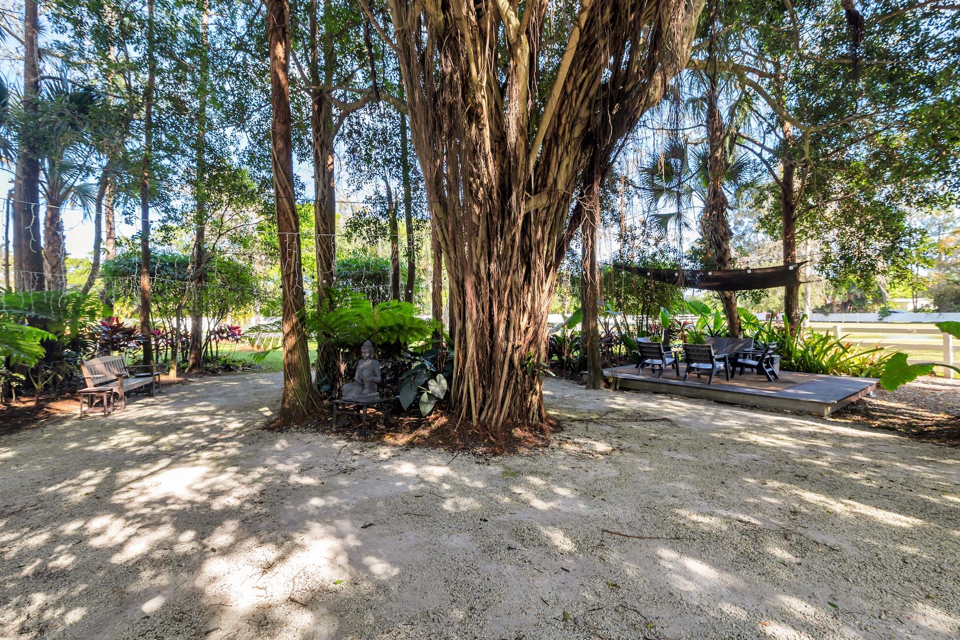 17593 Rocky Pines Jupiter, FL 33478