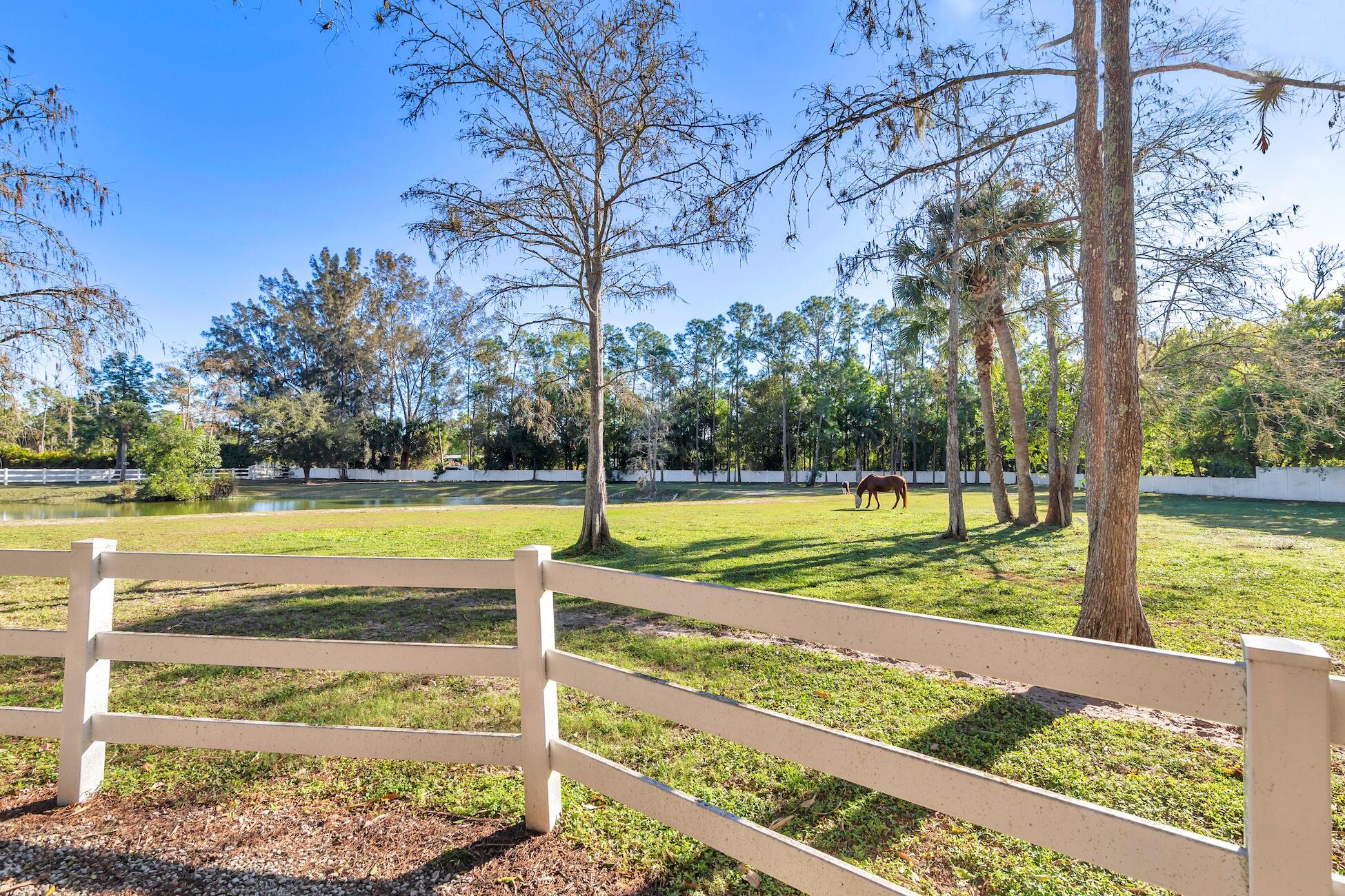 17593 Rocky Pines Jupiter, FL 33478