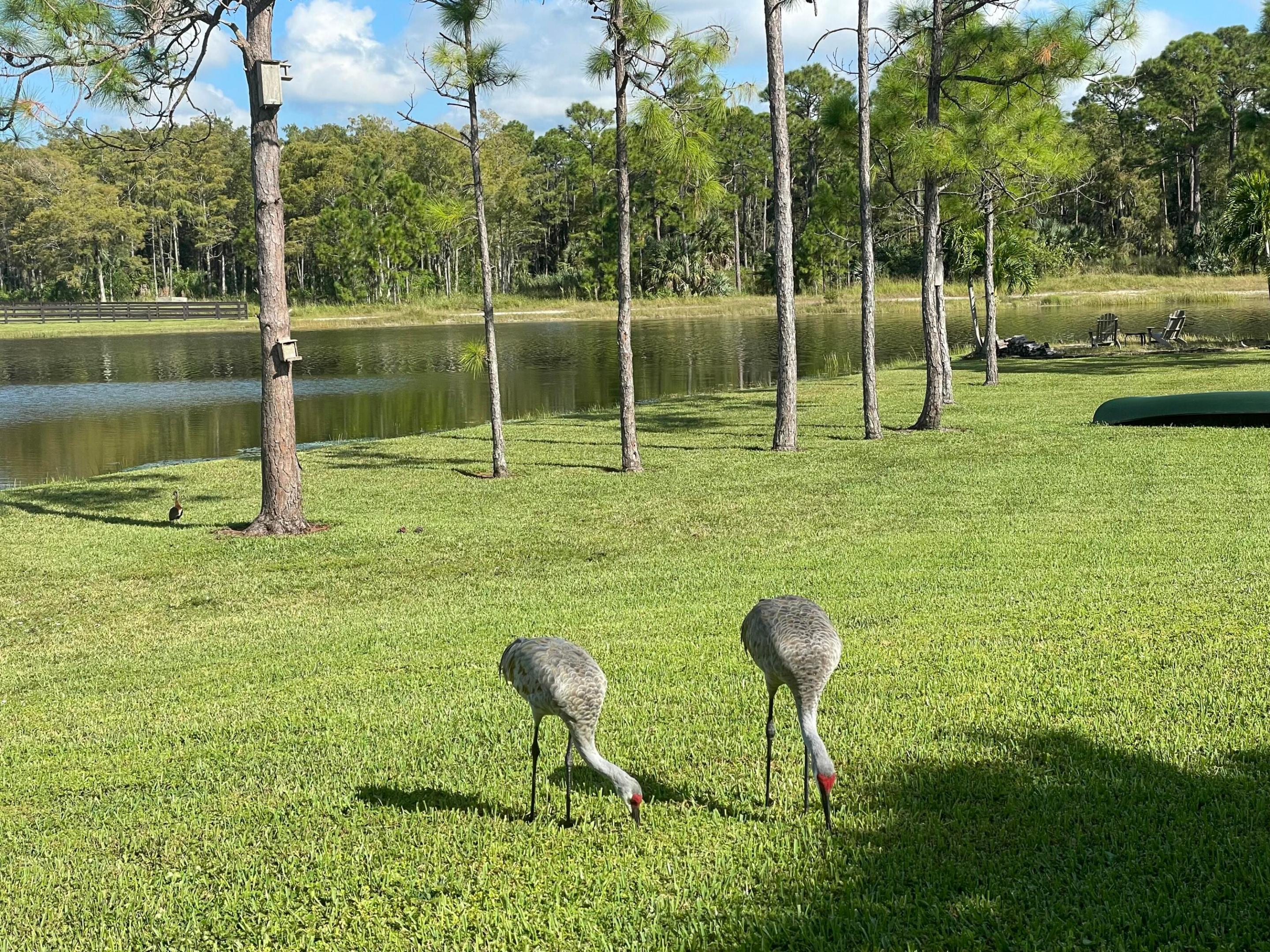 11581 Manatee Lake Worth, FL 33449