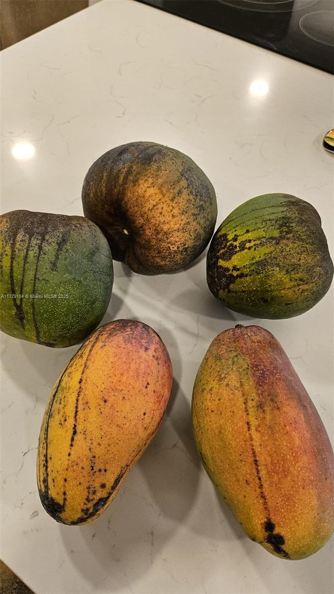 16400 SW 173rd Ave,Miami, FL 33187