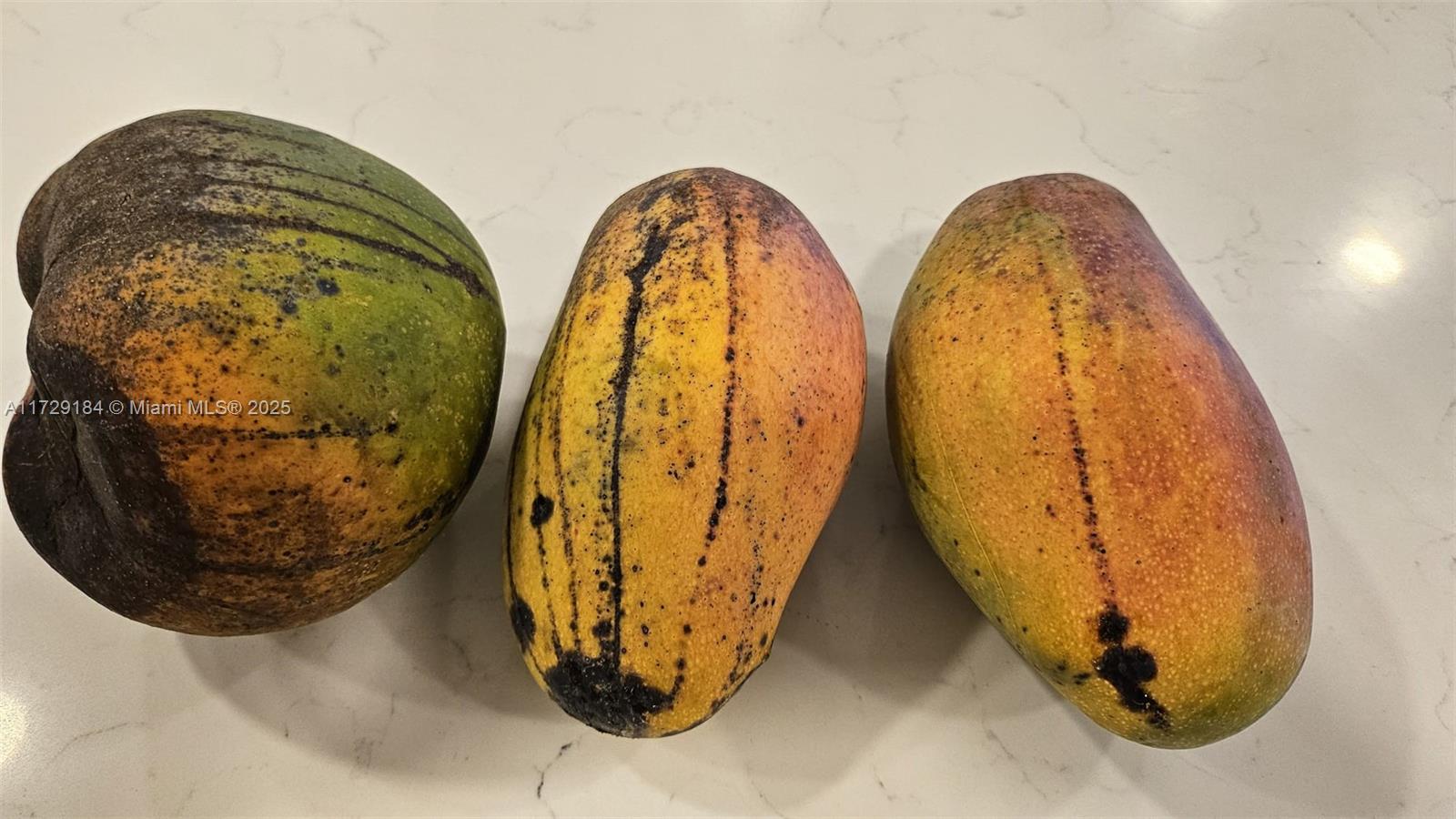 16400 SW 173rd Ave,Miami, FL 33187