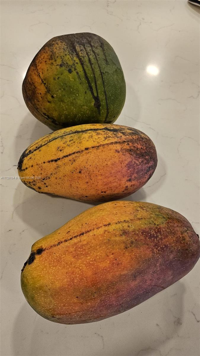 16400 SW 173rd Ave,Miami, FL 33187