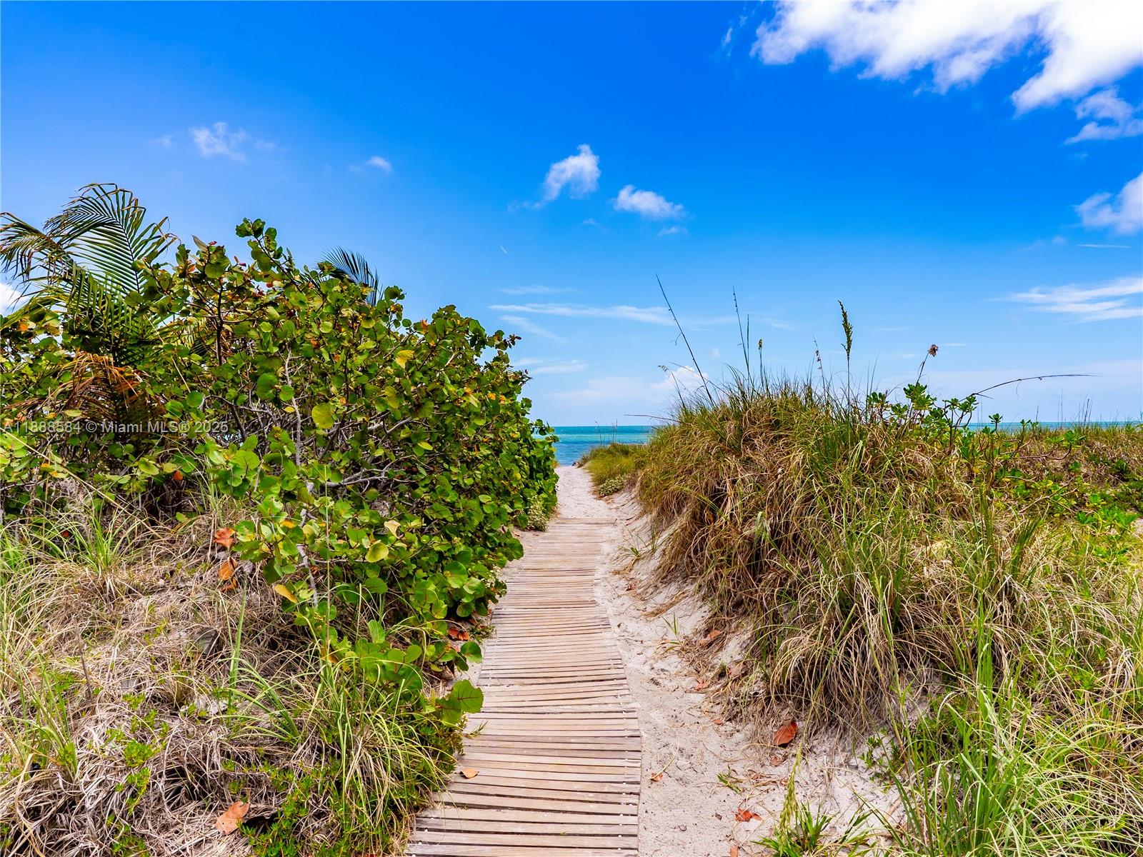 141 Crandon Blvd #446 Key Biscayne, FL 33149 141 Crandon Blvd #446 Key Biscayne, FL 33149