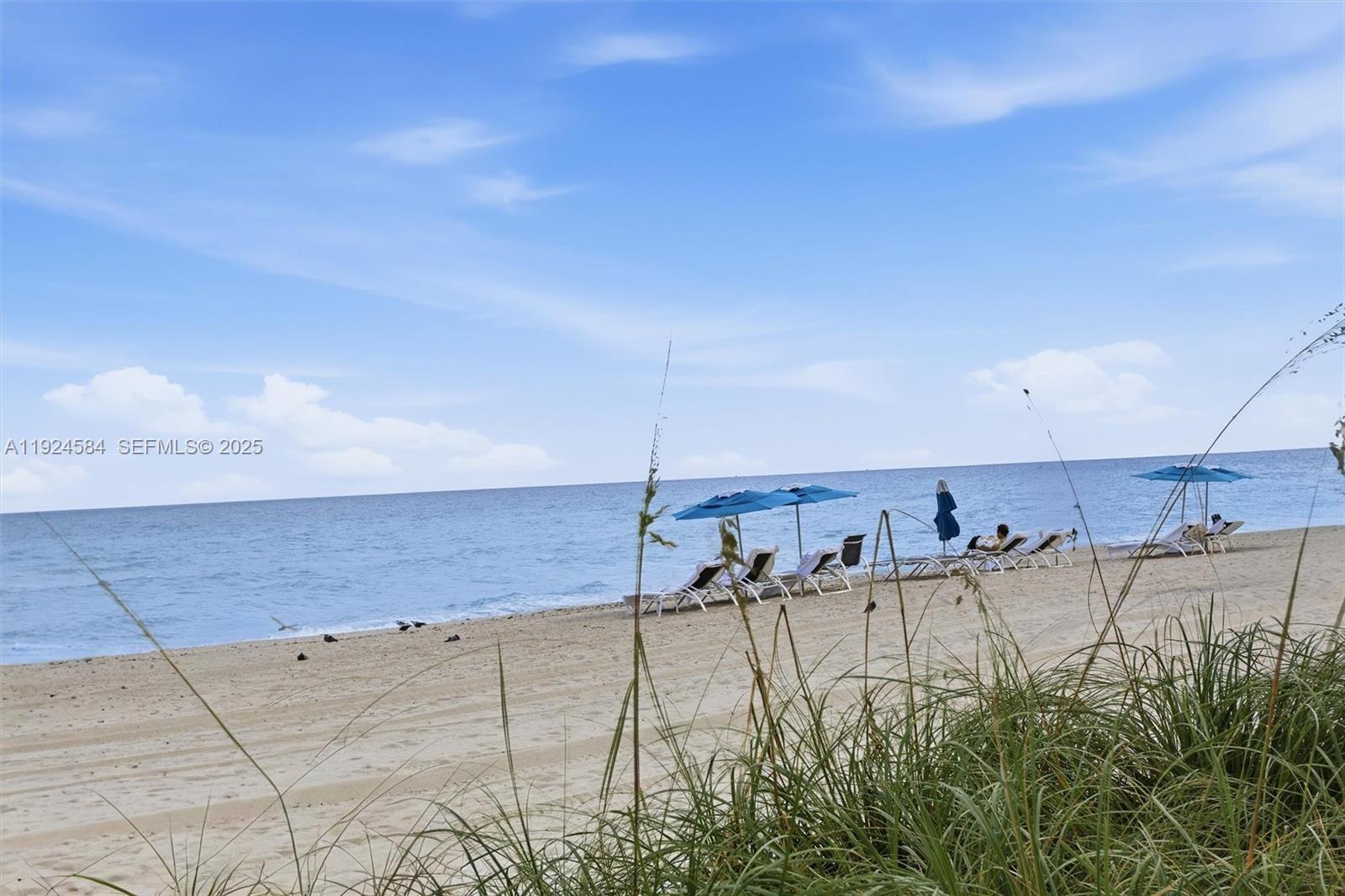 19111 Collins Ave #505 Sunny Isles Beach, FL 33160