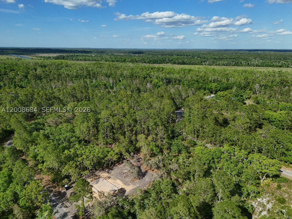 Fisher Trace Dr Other, FL 32179