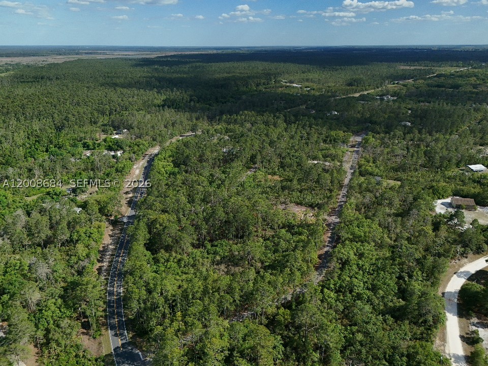 Fisher Trace Dr Other, FL 32179