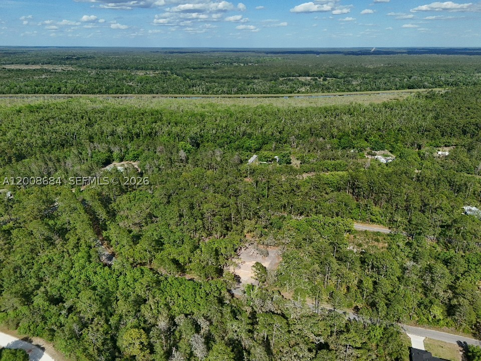 Fisher Trace Dr Other, FL 32179